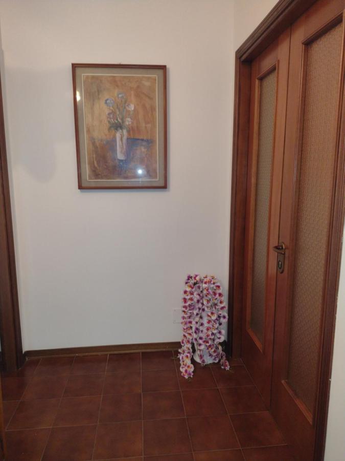 B&B L'Orchidea Pisa Exterior photo